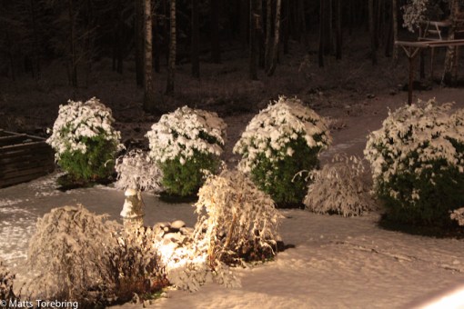 Första snön vintern 2014