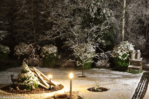 Första snön vintern 2014