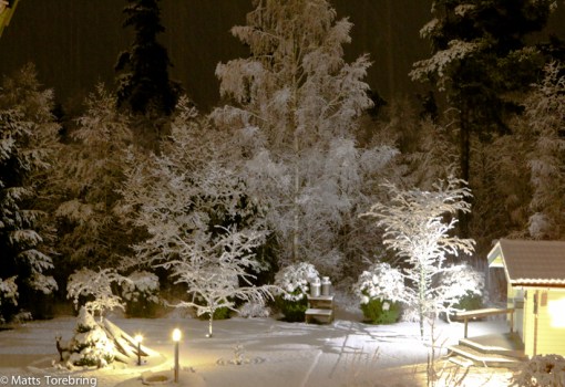 Min annars så mörka baksida på huset