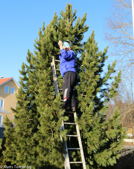 Julbelysningen är nere