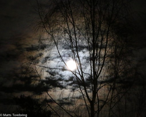 Månen har lyst bland molnen sista kvällarna