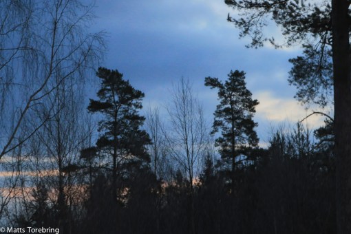 Så här ljust varder klockan 7.30 idag