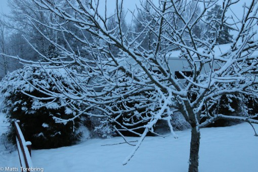 Vår Kabe står resklar lördag morgon