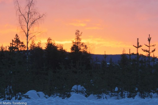 Vi vaknar upp till en solskensdag