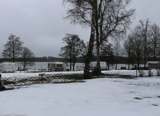 Några övervintrare finns på plats