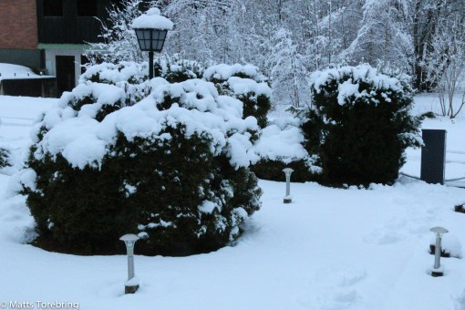 Tisdag morgon på Skogsgatan i Aneby