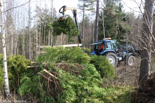 Traktor & Skogskärra fick inte köra in i trädgården