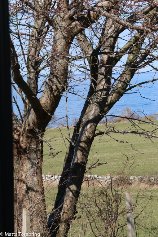 Första gången i år vi fikade med dörren öppen