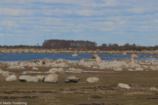 Jag behöver sten till ett nytt projekt hemma, den finns här