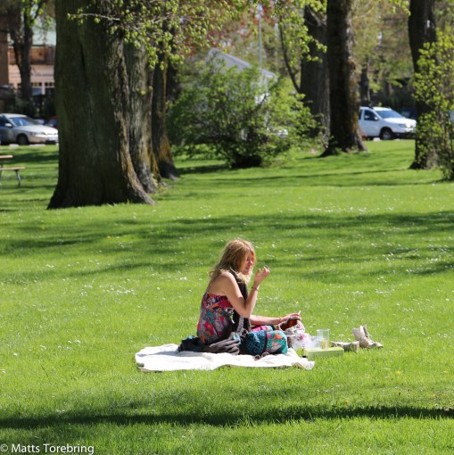 Andra hade picnic i stadsparken