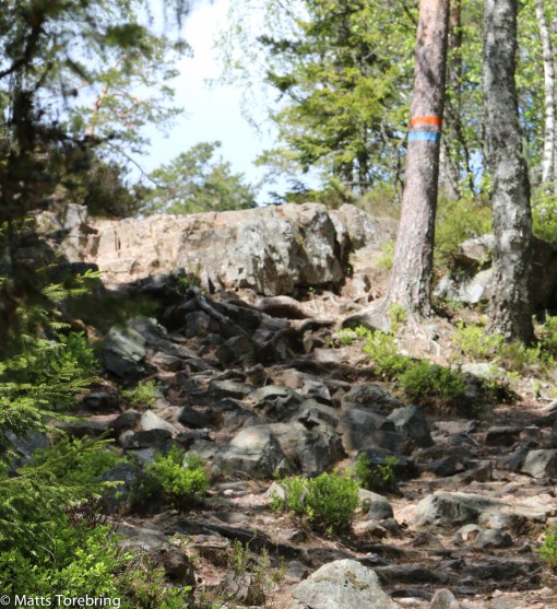 Vandringen ned i Skurugata har börjat