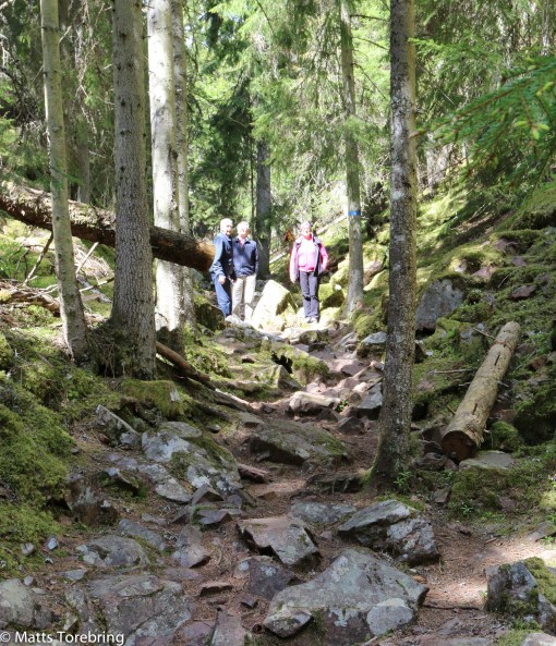 Snart blir det värre att gå