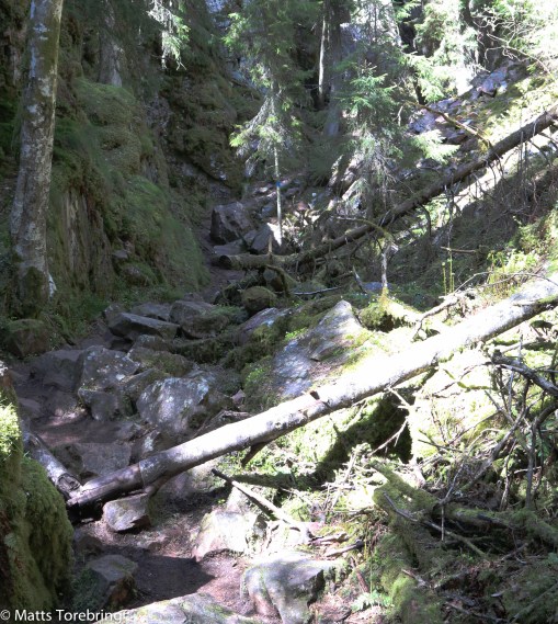 Vad har jag gett mig in på?