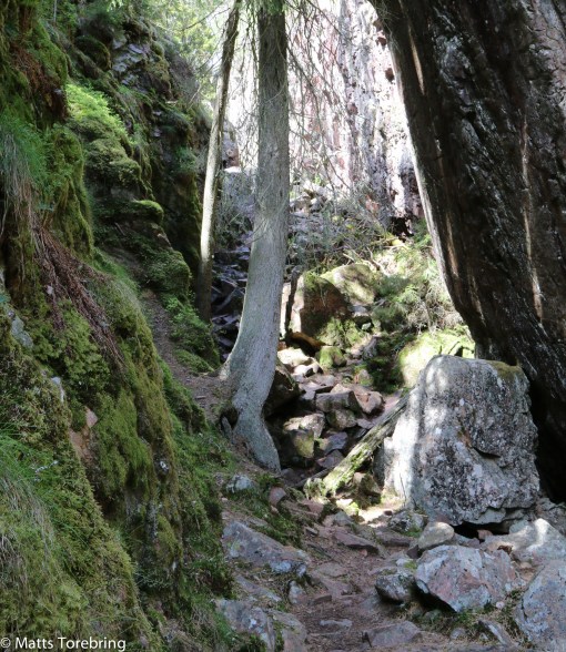 Mitt vänstra knä börjar göra ont, hur skall det gå?