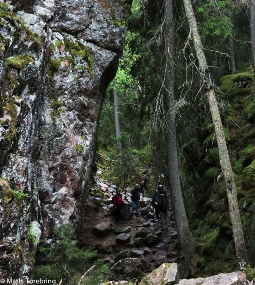 Många som är ute och vandrar som jag