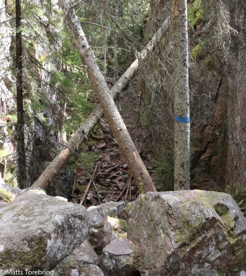 Känns som ett kryss, stopp och stanna här.