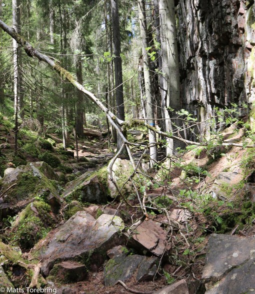 Att jag bara kom igenom med ett värkande knä