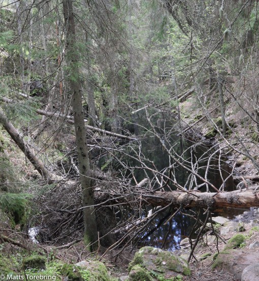 Jag vet inte hur det "gick" till här