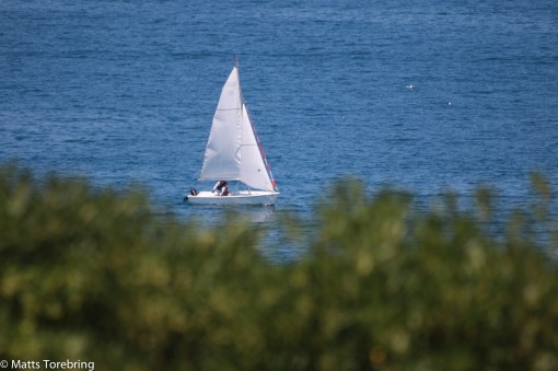 I tio timmar har vi suttit under markisen idag