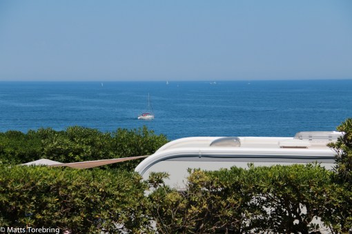 Vår häck framför markisen i förgrunden