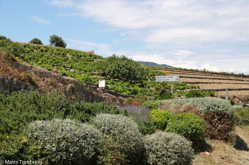Strax för infaten till Collioure