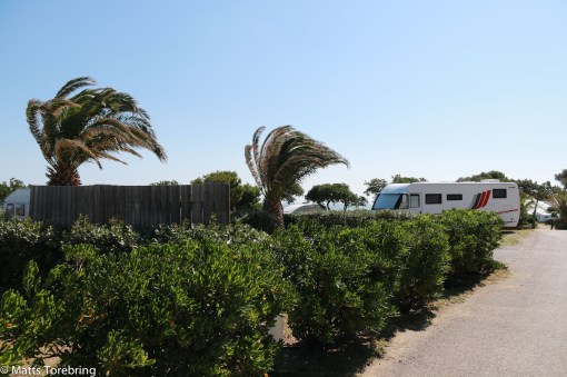 Kommer det en trädgren i huvudet på oss