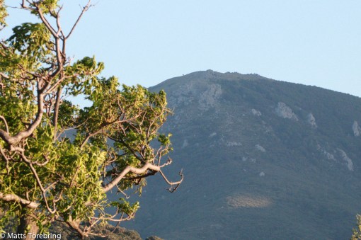 När vi äter frukost ser Birgitta detta