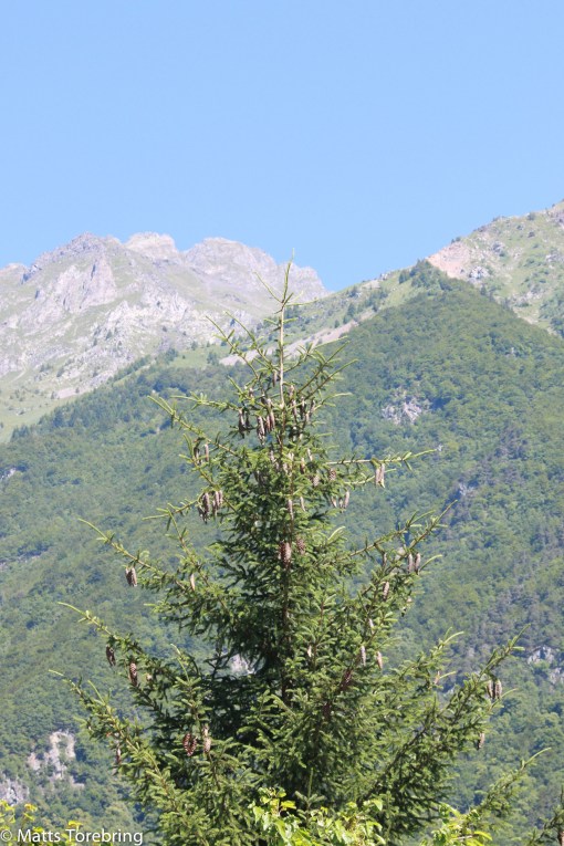 Fjälltoppar runt om oss