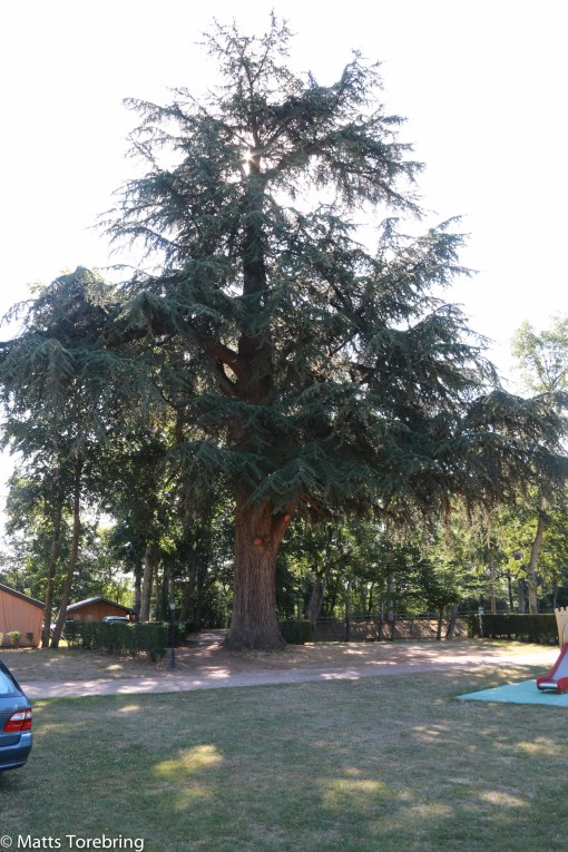 Allt kan inte vara vackert, något måste vara fult också.