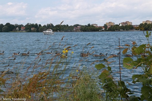 Vi gick intill stan för att handla