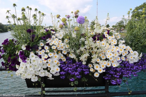 Sommarblommor på bron in till centrum