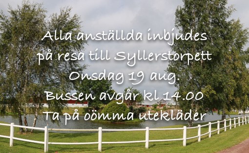 Team Torebrings på resa