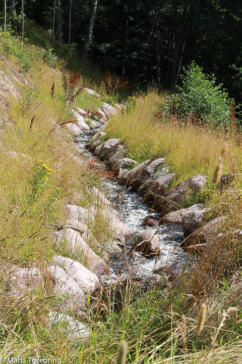 Flera små bäckar kommer och rinner ned till Hjoån