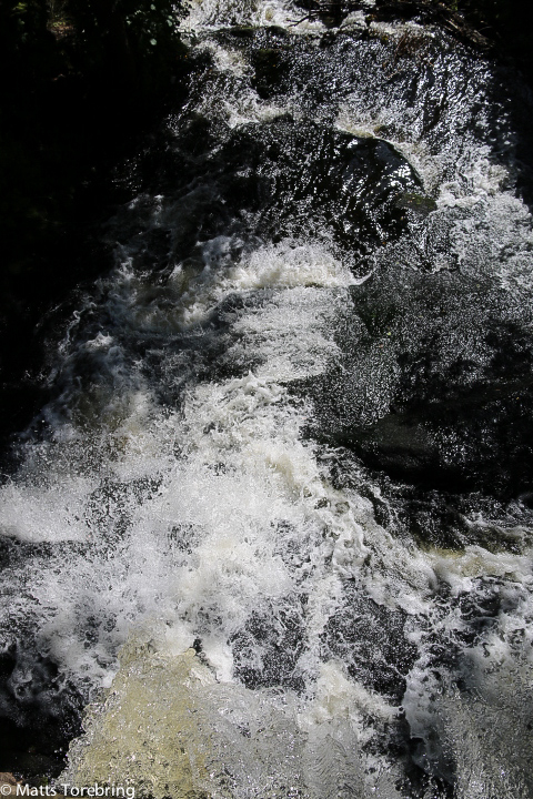 På sina ställen forsar vattnet genom skogen.
