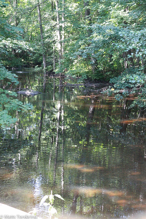 På andra ställen är vattnet stilla
