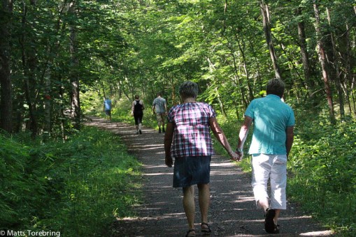 Det är många som är ute och njuter av vägen genom ådalen