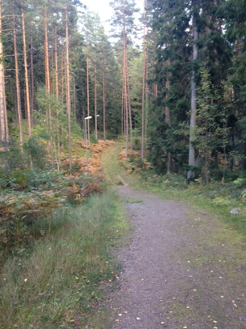 Elljusspåret efter jobbet idag