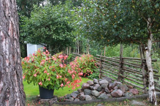 Helpension vid våra vänners sommarstuga