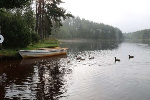 Helpension vid våra vänners sommarstuga