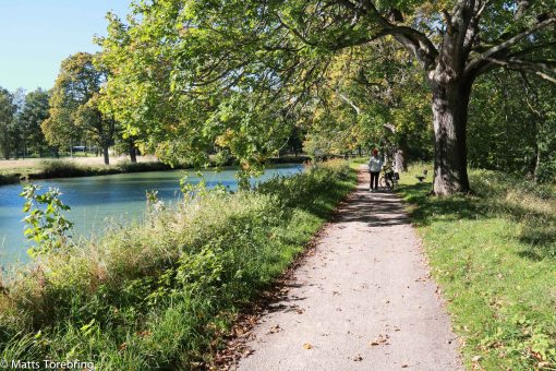Vilken fantastisk cykelväg