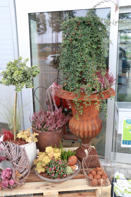 Inne i butiken hos Monica & Lasse