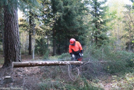 Jag kommer att ha ved så länge jag lever