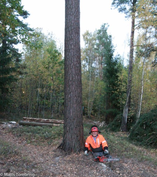 Vad skönt att få sätta sig ned