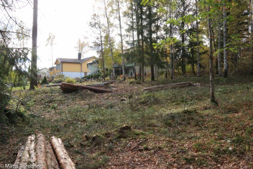 Ned ifrån nordöstra hörnet har jag aldrig fotat förr.