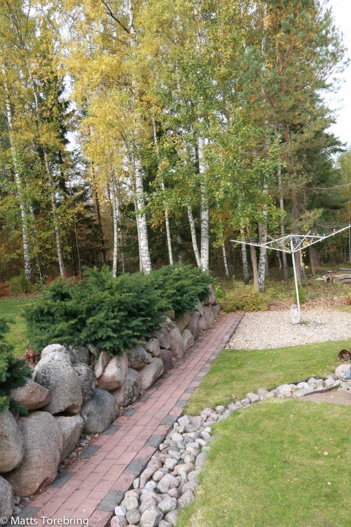 Jag hoppas kunna fortsätta min sten mur vidare in på granntomten