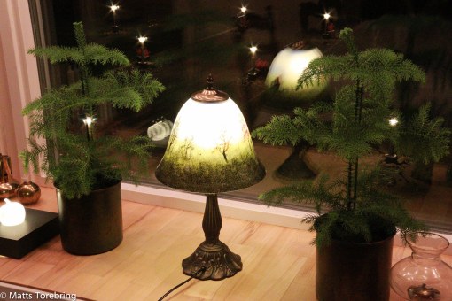 Avverkar man skog måste man återplantera