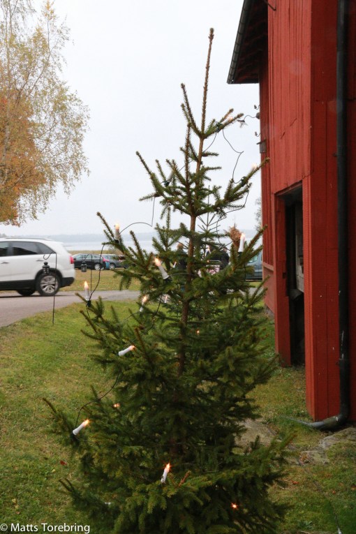 Juleljus & gula höstlöv