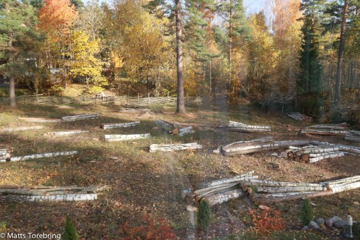 Björkved att elda och grilla i massor