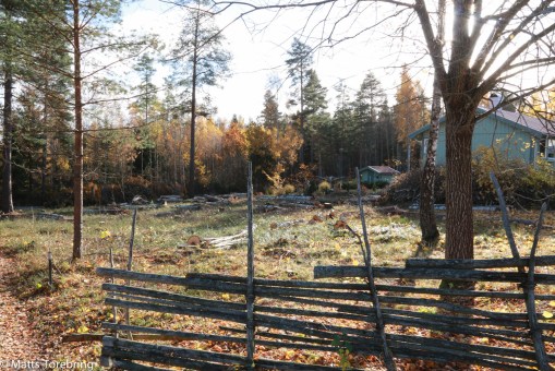 Tomten från nordvästra hörnet