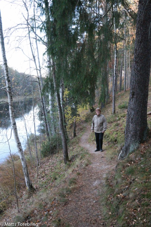 Nu är stigen riktigt fin